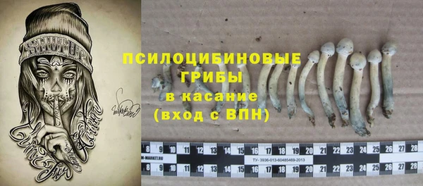 PSILOCYBIN Аркадак