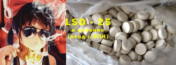 PSILOCYBIN Аркадак