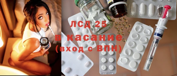 PSILOCYBIN Аркадак