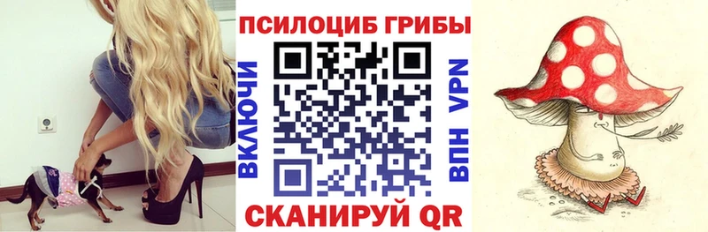 Псилоцибиновые грибы мухоморы  Приморск 