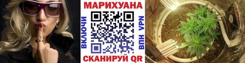 купить наркотик  Приморск  Канабис конопля 